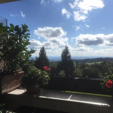 Komfortable Wohnungen Und Studio In Sankt Englmar Buitenkant foto