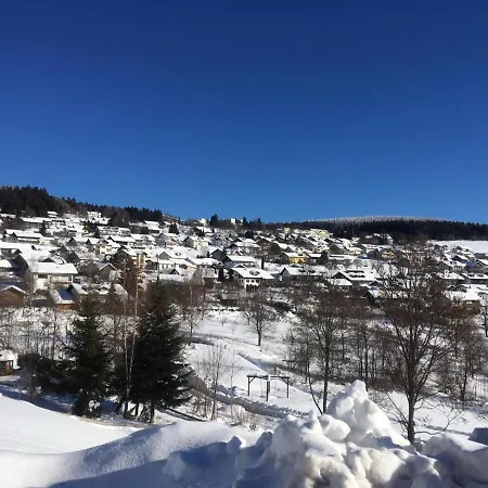 Komfortable Wohnungen Und Studio In Sankt Englmar Buitenkant foto